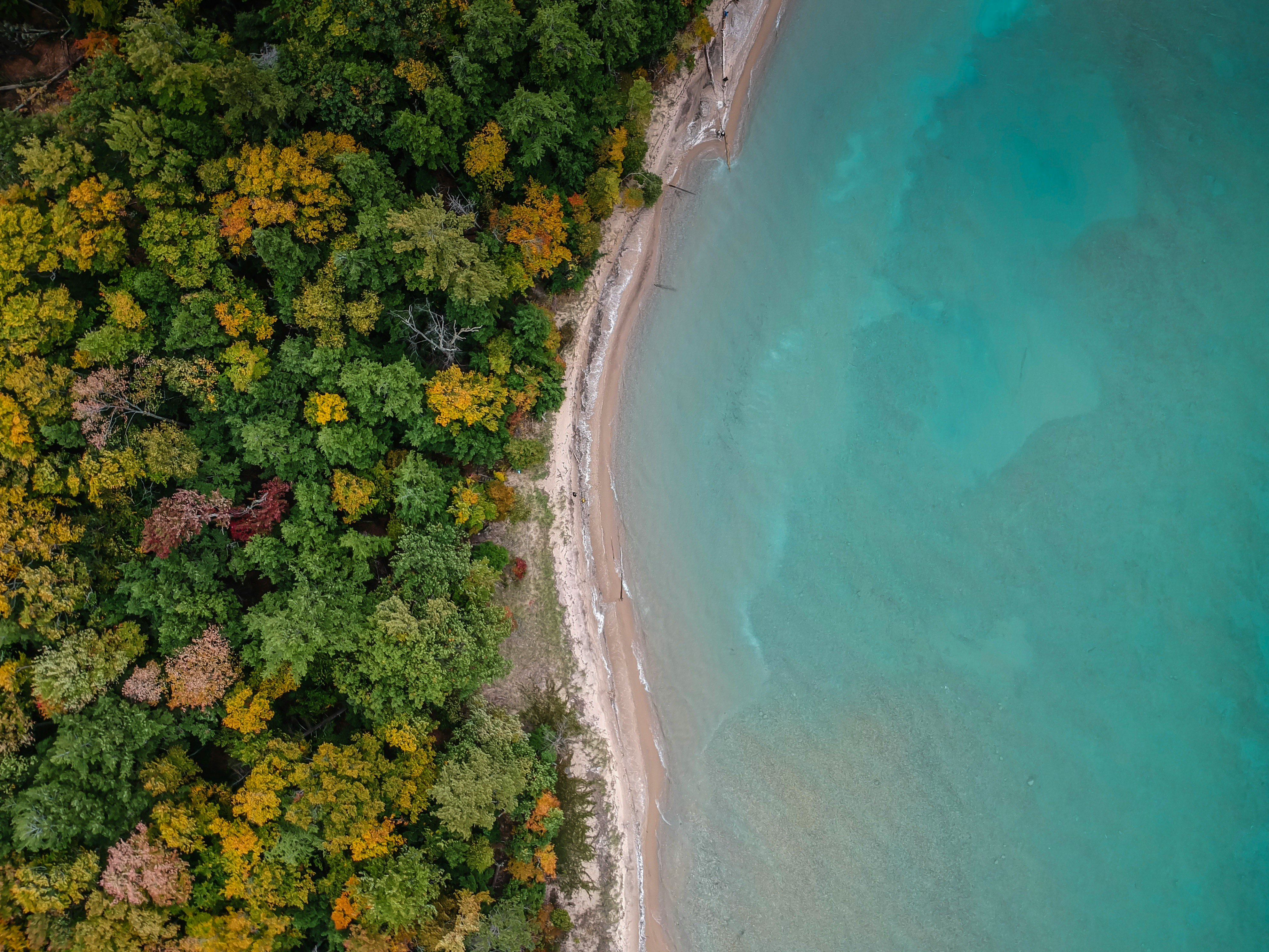 aerial photography of beach